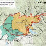 Williams Fork Fire Watershed Recovery